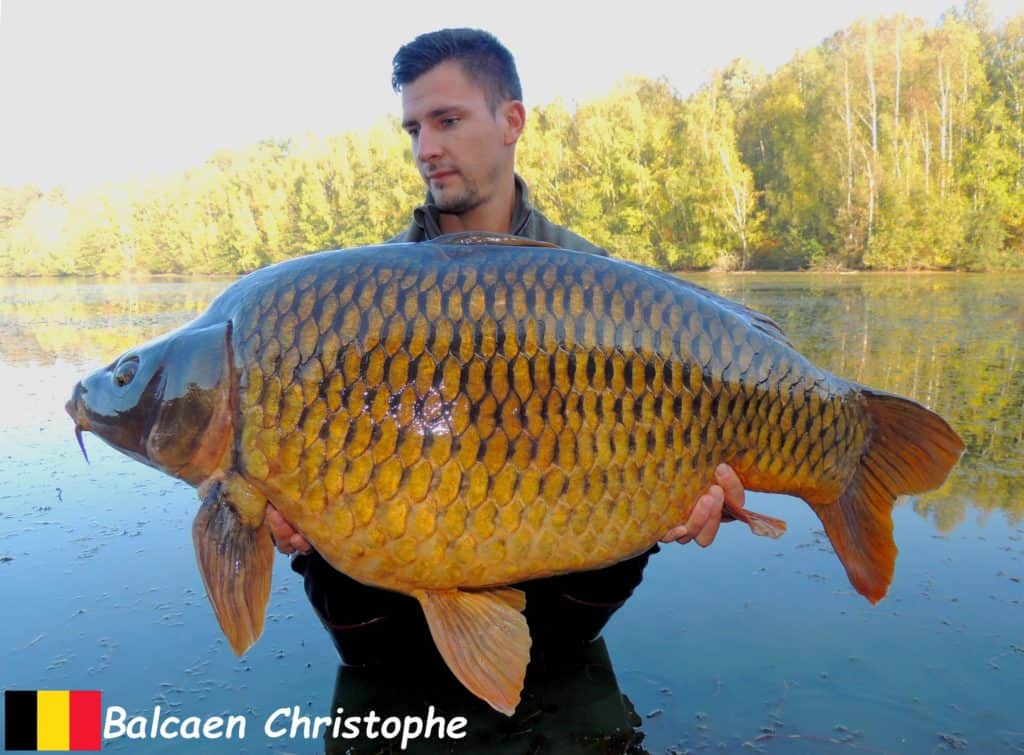 Balcaen Christophe Balcaen Christophe