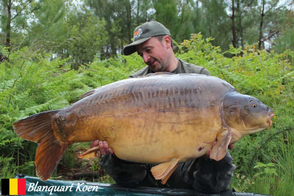 Blanquart Koen