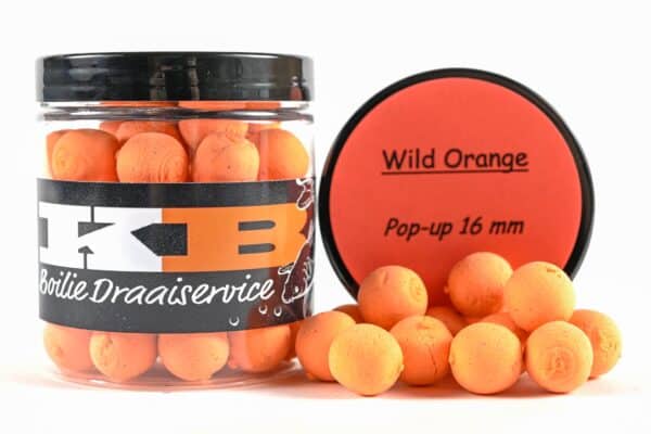 Pop ups Wild Orange